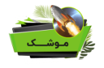 Rocketon